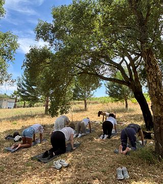 Yoga, meditation and regional flavors