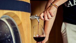 Populär vinprovning och rundtur på Neleman Organic Vineyards