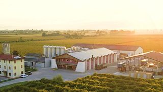 Circuit classique des vins