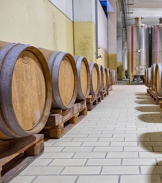 Degustação de vinhos e tour na Azienda Agricola Albino Piona