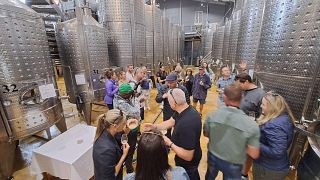Visita a la bodega de Benguela Cove