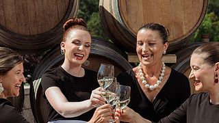 Prova de vinhos e passeio na Adega Ponte Da Barca