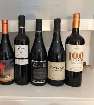 Bodega Ecologica Luis Saavedra