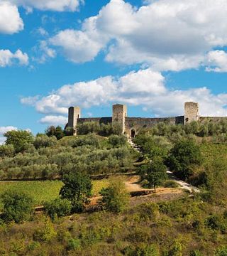 Siena, San Gimignano y Pisa con almuerzo