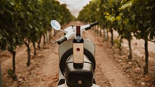 5 Weinprobe im Cantine Paradiso