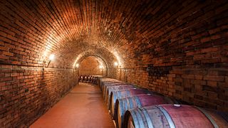 Cata de vinos y visita guiada al Castello Monterinaldi