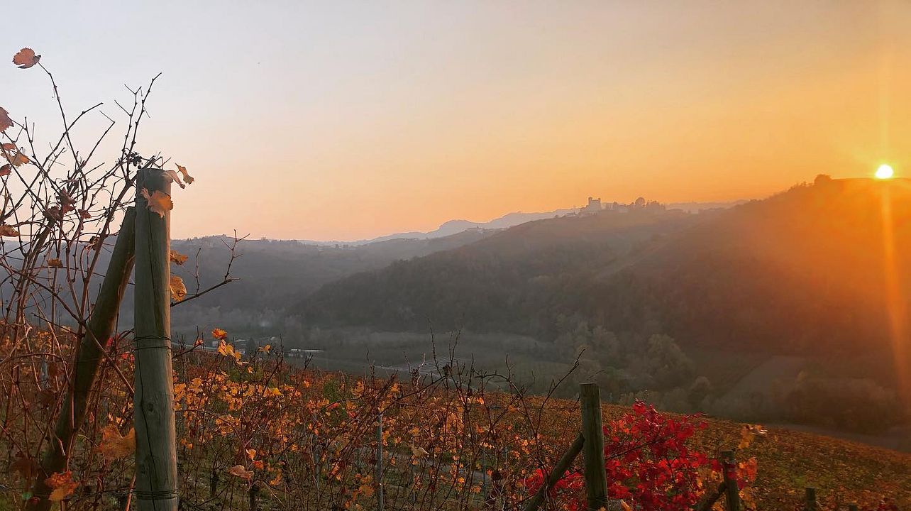 Ca' Viola Winery