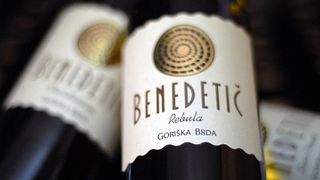 Primorska Organic Wine Journey at Benedetič