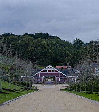 Dégustation de vins et visite à Ocean Eight