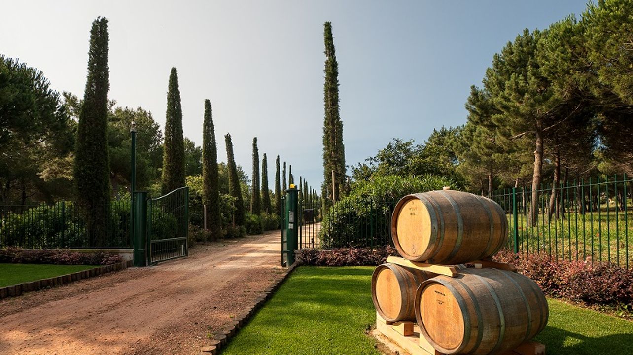 Tenuta Poggio Rosso
