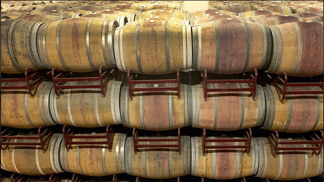 Wine Tasting and Tour at Galan Vineyards