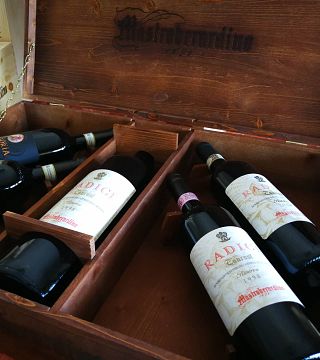Cata de vinos y visita guiada a Mastroberardino