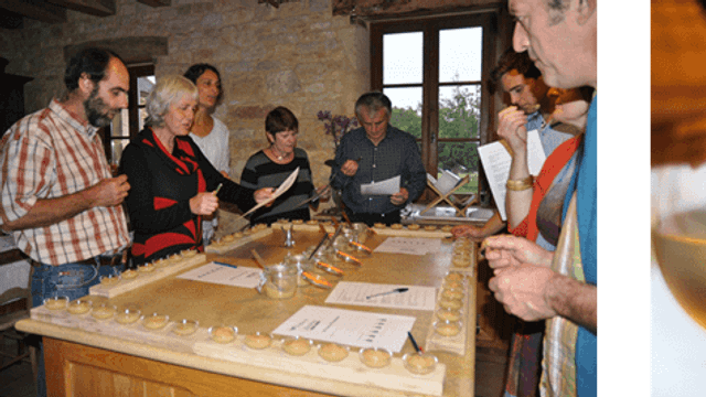Degustação de vinhos e tour no Château Bardins