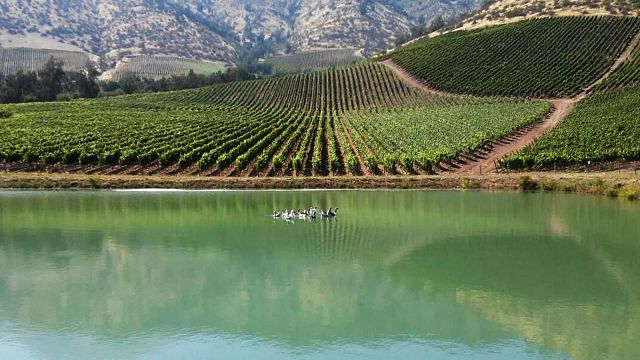 Degustazione di vini e tour a Santa Ema