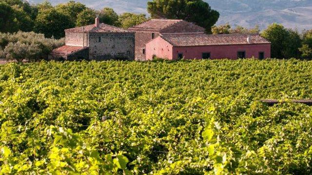 El Loto Blanco | Sciaranuova Etna