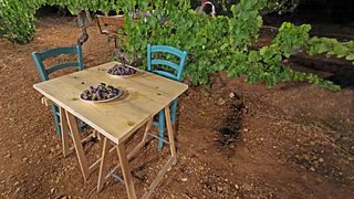 4×4 Tour in Orosei mit Abendessen im Weinberg