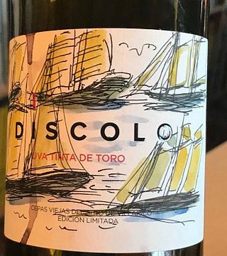 Dégustation de vins et visite à Discolo