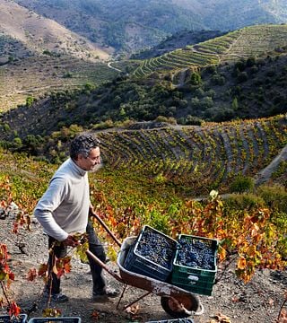 Experience the hilly landscape of DOQ Priorat
