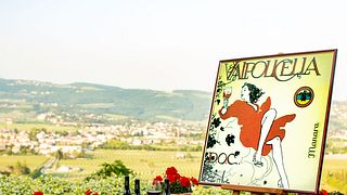 Castrum: A Scenic Wine Experience