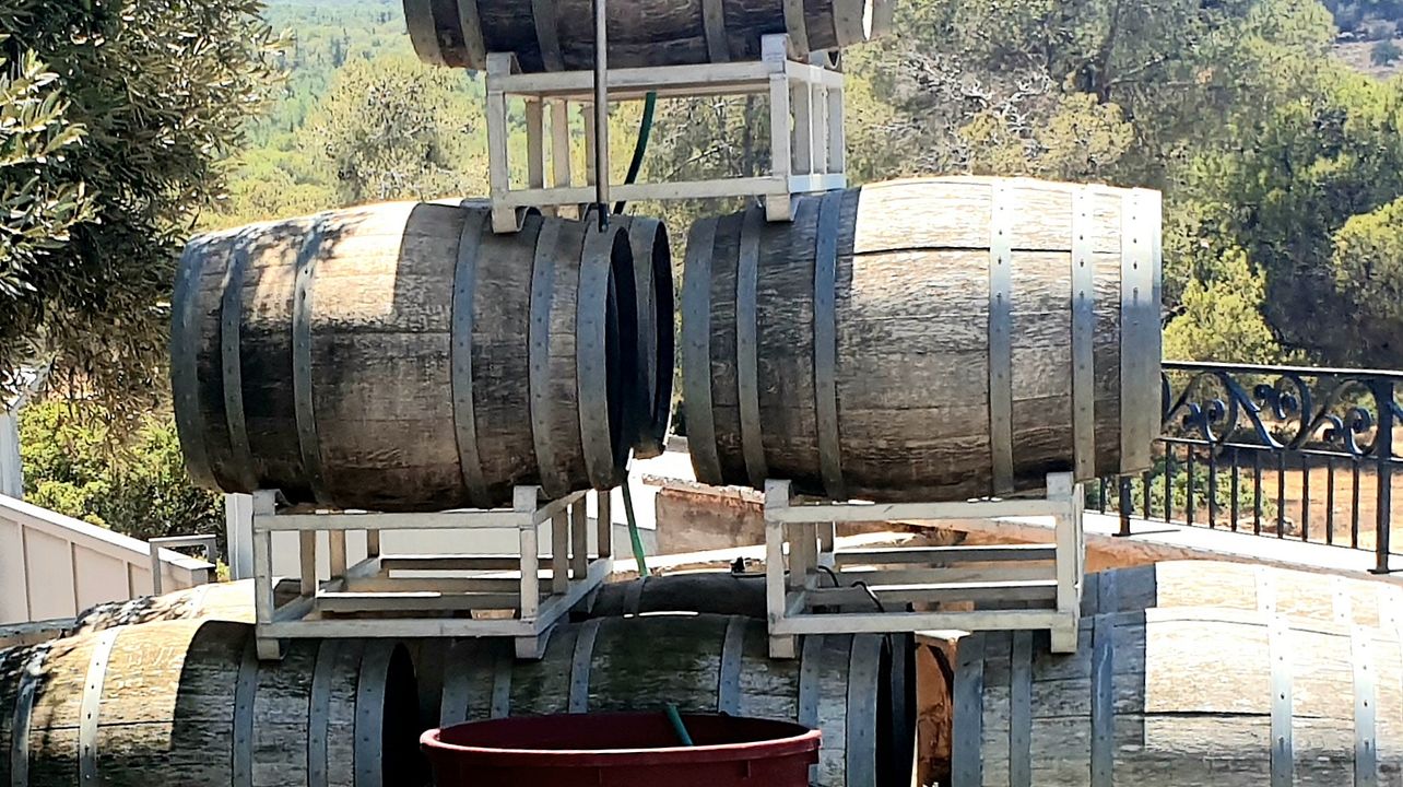 Northern Israel Wine Tour