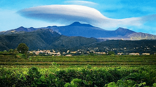 Excursión al Etna (2000 mt.) y experiencia enológica