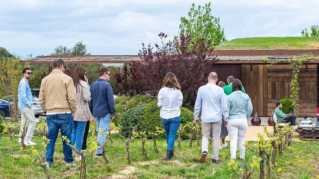 Geführter Spaziergang und Gourmet-Weinprobe