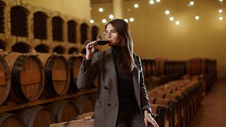 Valul Lui Traian: Award-Winning Wine Tasting Journey