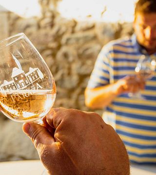 Prestige-Weinprobe mit handgemachtem Käse aus der Region und Wurstplatte | Château de Paraza