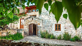 Cata de vinos y visita guiada en Demetervin