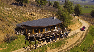 Robleria Vineyard