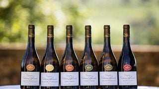 La gran cata de vinos del Château de Pierreclos