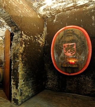 Visita e degustazione di vini presso Winzer von Erbach eG