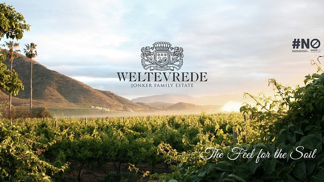 Kreieren Sie Cap Classique im Weingut Weltevrede