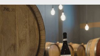 Corvina-Weinprobe bei Accordini Igino