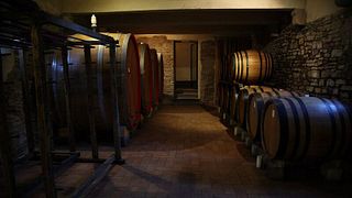 Degustazione Classica