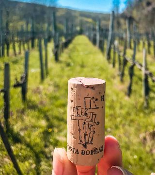 Pannon Wine & Tapas Journey at Pósta Borház