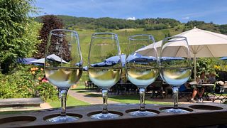 Vinprovning och rundtur på Weingut Lehnert