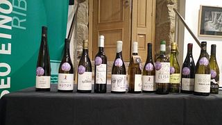 Galicia Wine Journey: Tasting & Vineyard Tour