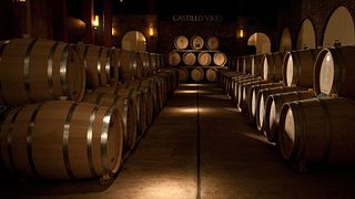 Bodegas Castillo Viejo