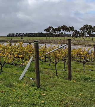 Lethbridge Wines