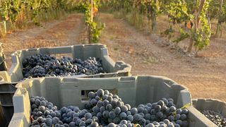 Medeiros Winery
