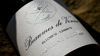 Winemaker's aperitif at the Domaine