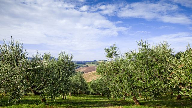Conventino Montecoccardo