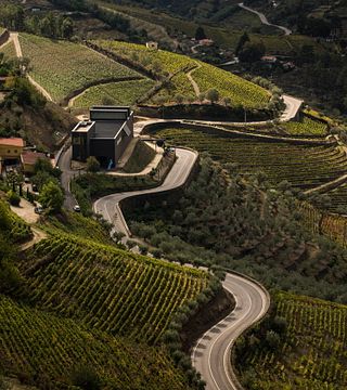 Dégustation de vins et visite à Alves De Sousa Quinta Da Gaivosa