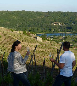 Fromages et vins du Rhône Nord