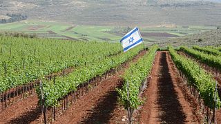 Kosher vin privat rundtur