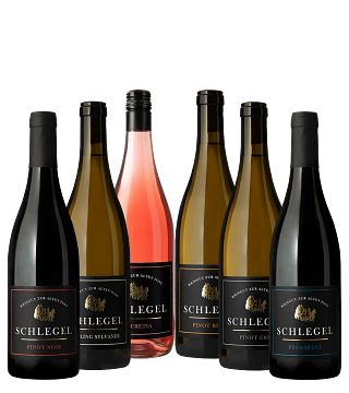 Degustazione di vini e visita guidata al Weingut zur alten Post
