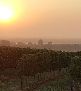 Taschner Wine and Sparklinghouse