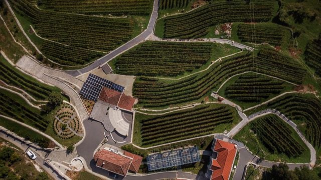 Markovic Weingut Tour und Verkostung von 5 Weinen