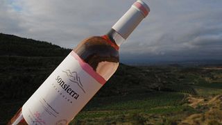 Premium Wine Tasting at Viñedos De Sonsierra